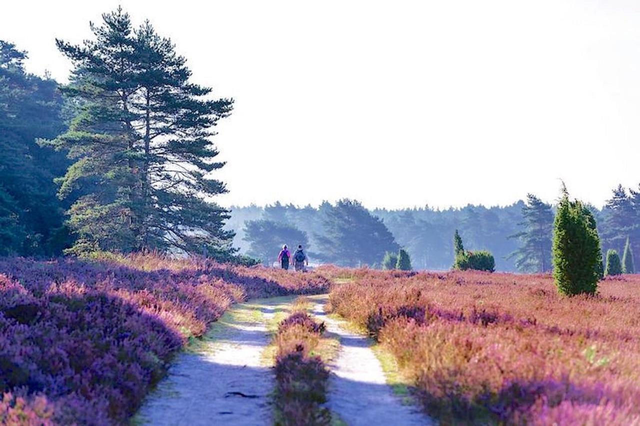 Ferienhaus Luneburger Heide Eschede Esterno foto