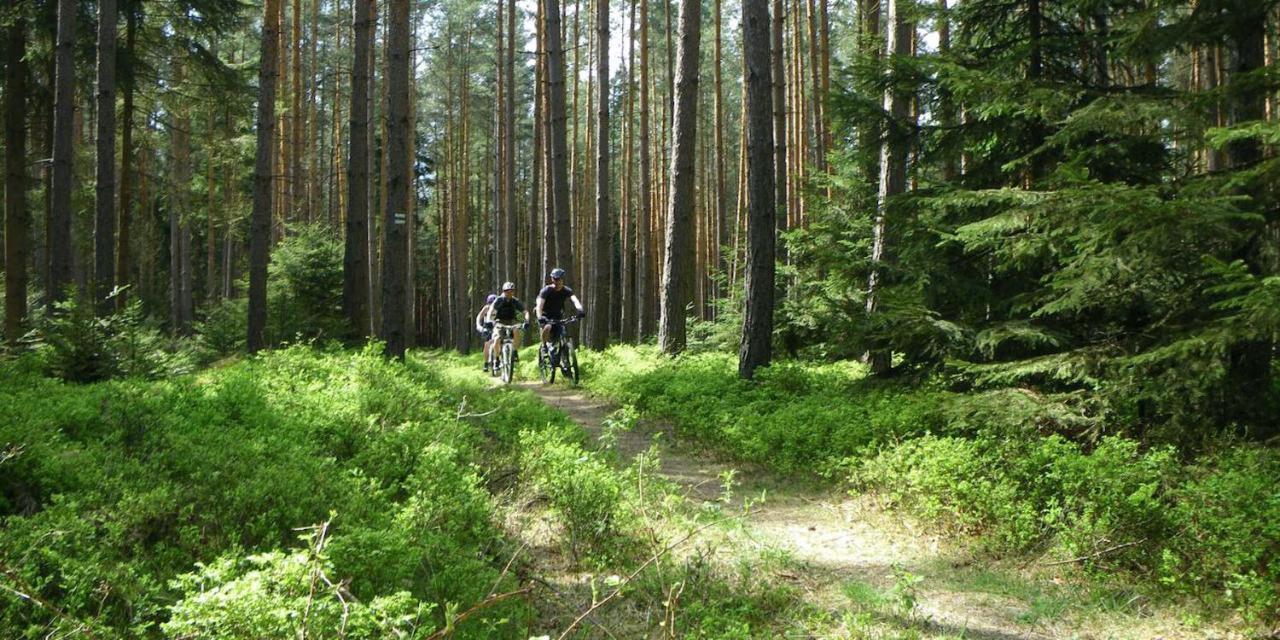 Ferienhaus Luneburger Heide Eschede Esterno foto