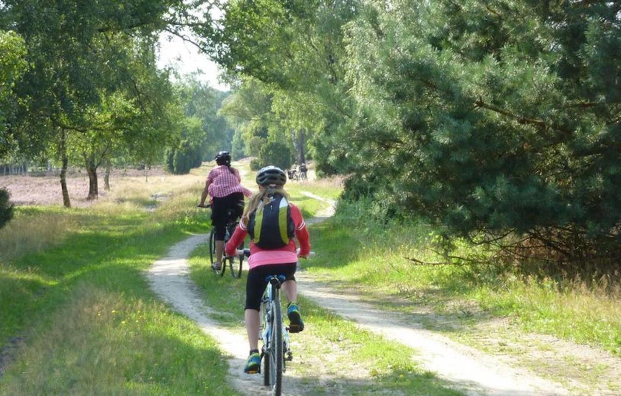 Ferienhaus Luneburger Heide Eschede Esterno foto