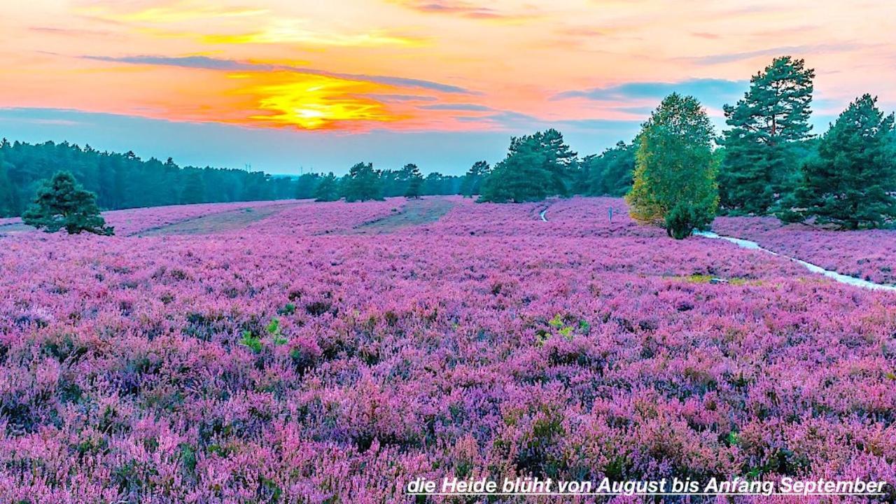 Ferienhaus Luneburger Heide Eschede Esterno foto